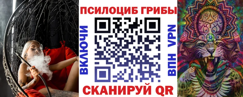 kraken маркетплейс  Ленск  дарк нет клад  Псилоцибиновые грибы Magic Shrooms 